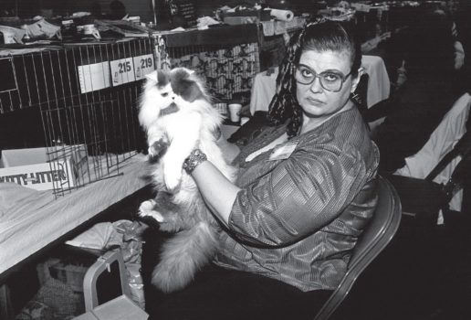 Cat Show 6