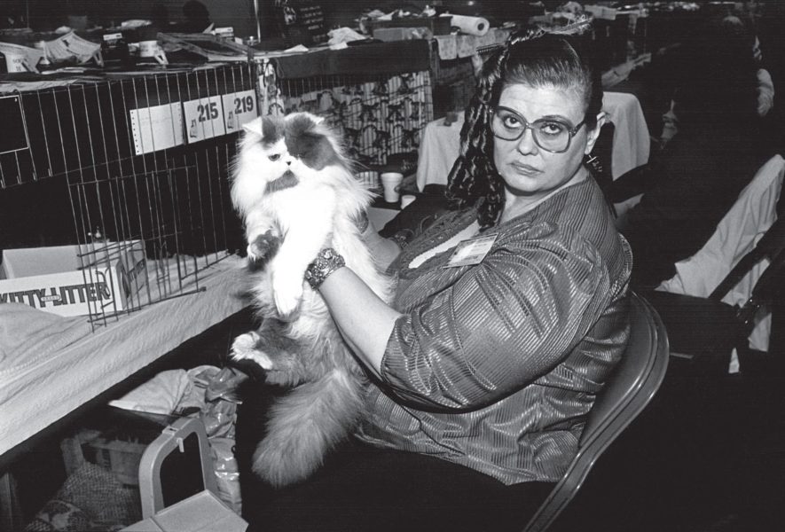 Cat Show 6