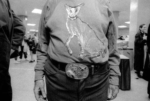 Cat Show 9