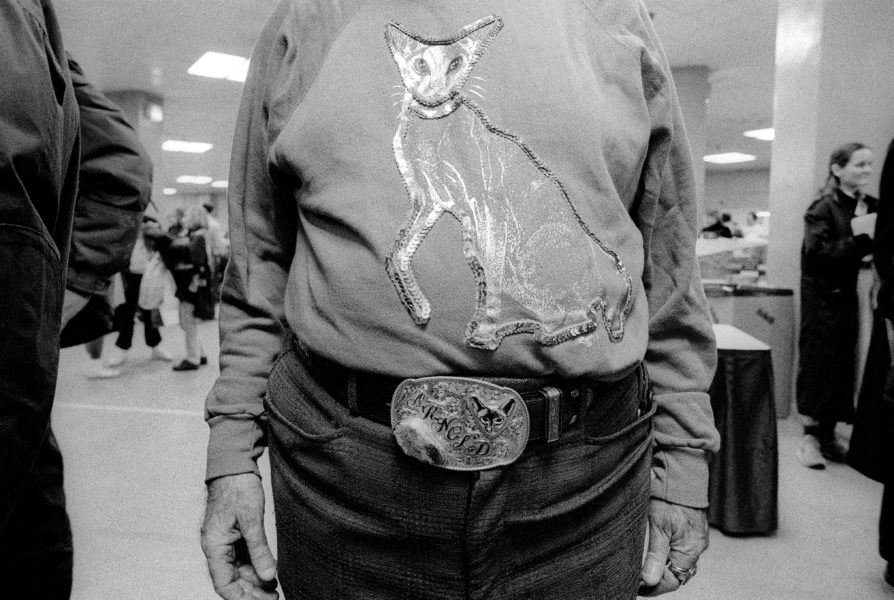 Cat Show 9