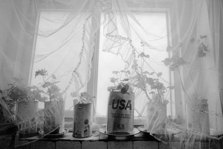 Plastic Covered Window