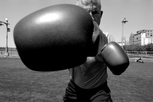 Boxer, Hudson River Park, NYC