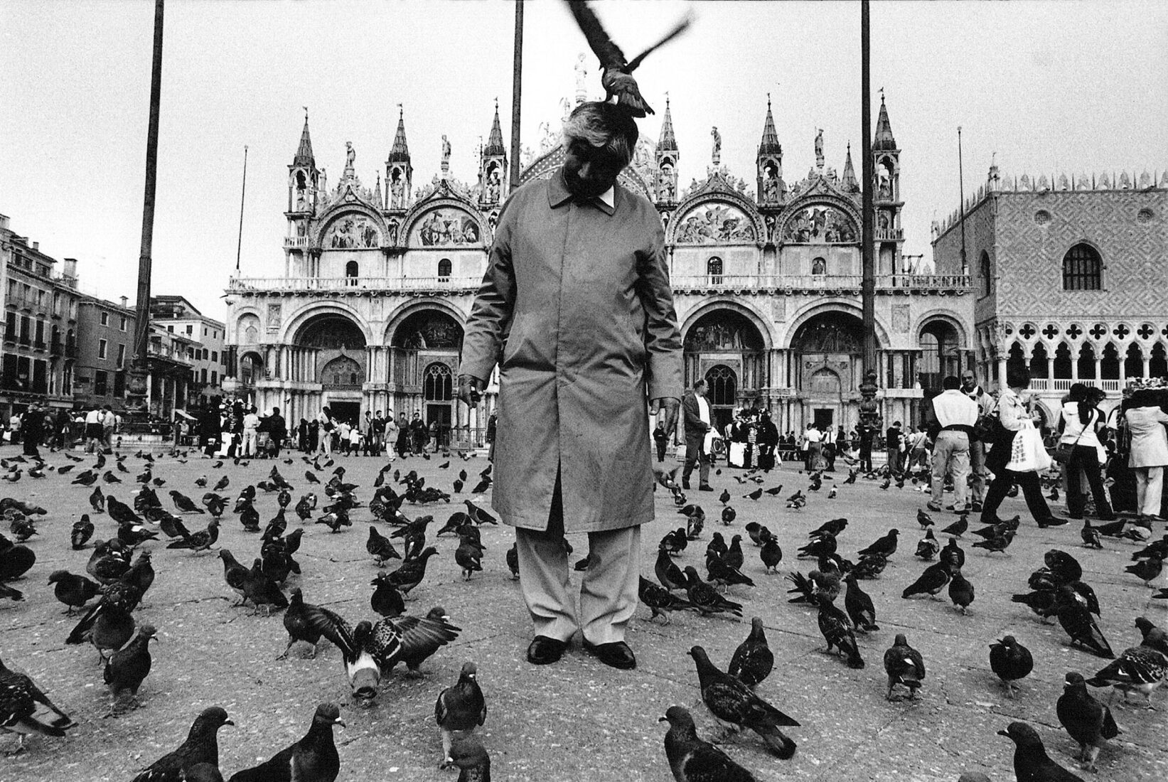 Tourist with Pigeons in Saint Mark’s Square, Venice, Italy